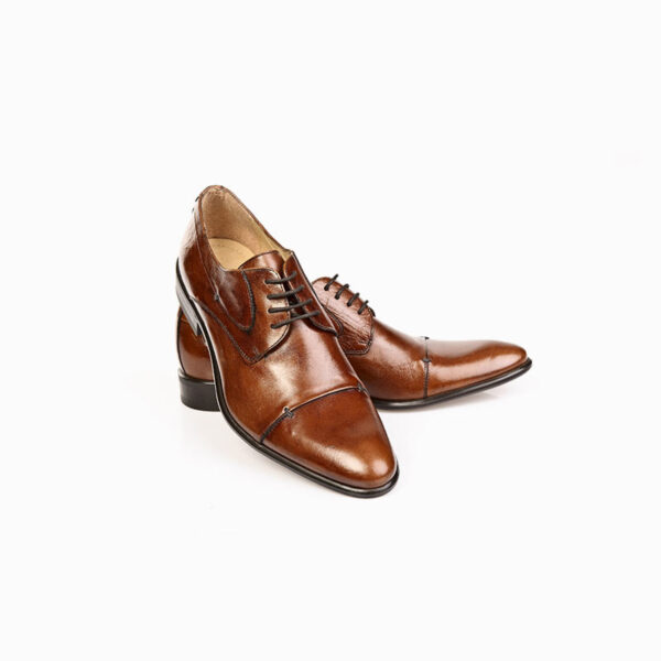 Brown Leather Shoes